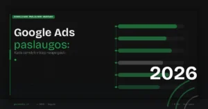Google Ads paslaugos: kada verta ir kaip išsirinkti